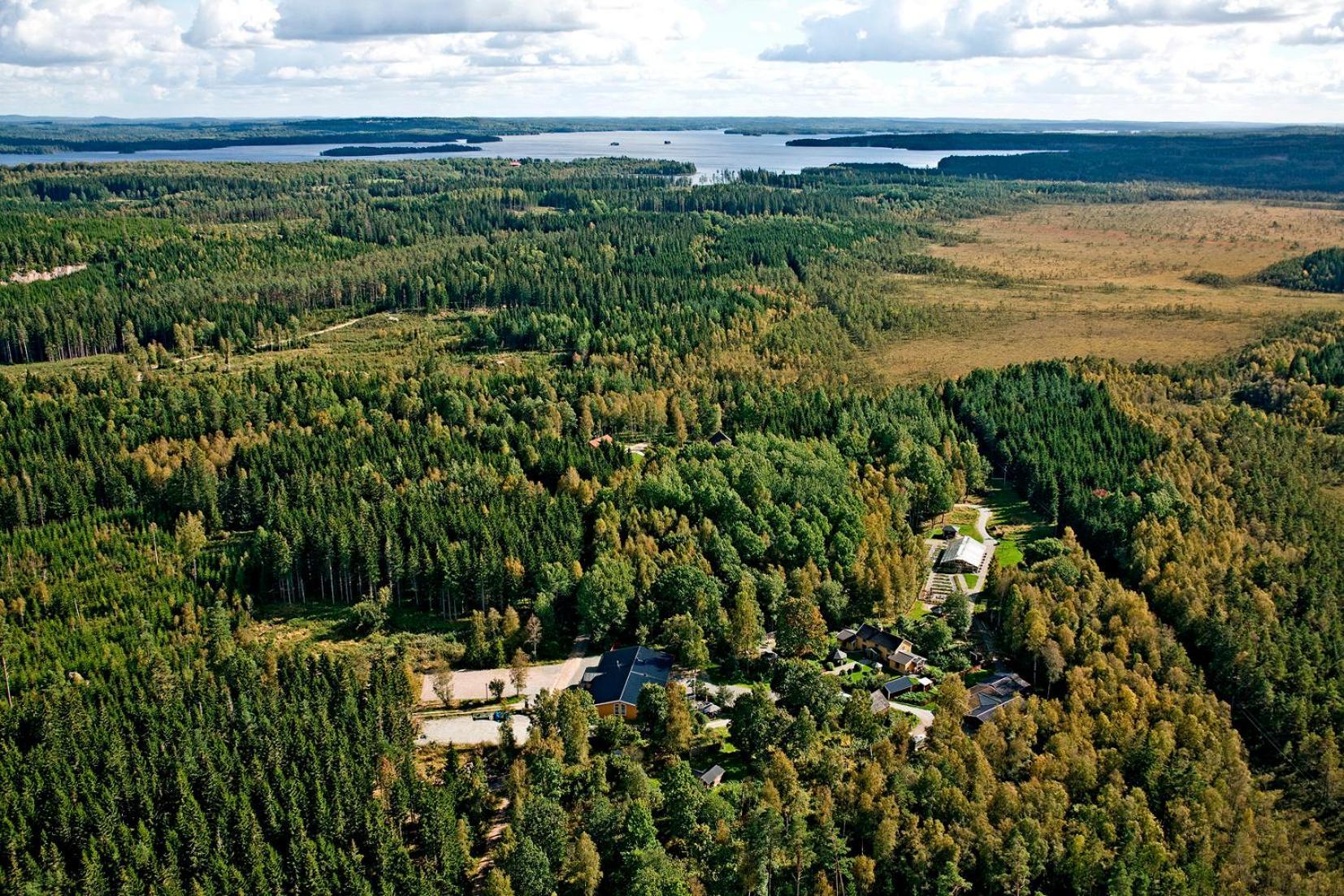 Timjan Forest Resort Nydala Eksteriør billede