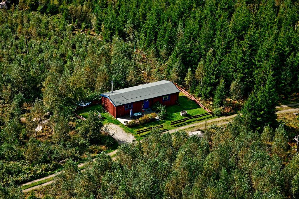 Timjan Forest Resort Nydala Eksteriør billede